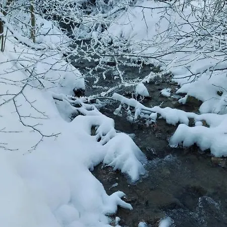 Marko's * Kopaonik