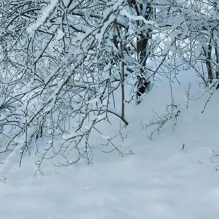 Apartment Marko's Kopaonik